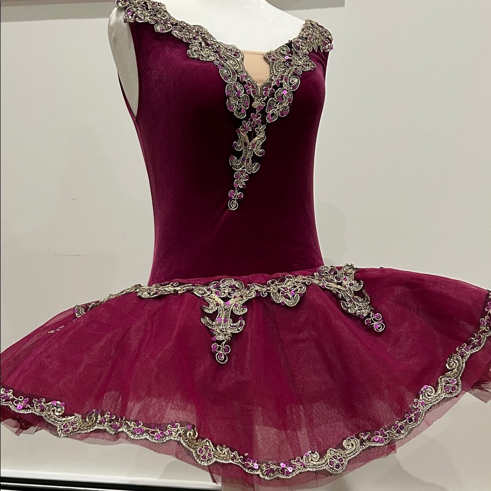 Weissman premium Burgundy and Gold Kids Dance Costume with tutu
